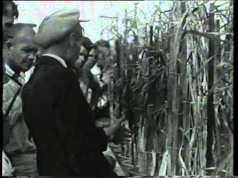 Trofim Lysenko at the Agricultural Exhibit (1939)
