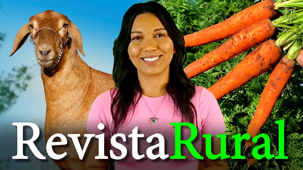 PROGRAMA REVISTA RURAL - 05/07/2026