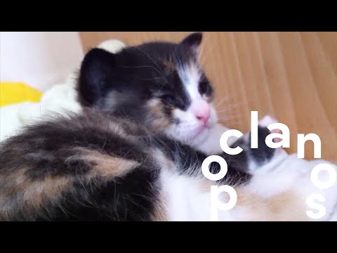 [MV] Room306 - 전송 (Sending) / Official Music Video