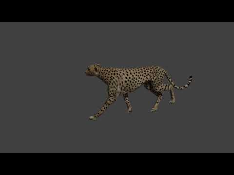 Brender Cheetah rendered