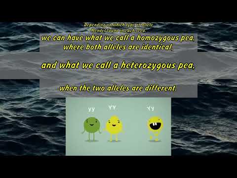 Hortensia Jiménez Díaz: How Mendel's pea plants helped us understand genetics