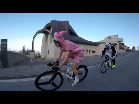 Full video - Panda vs Rabbit - Incredible Hillbombing . Wolfbotts and Michael War