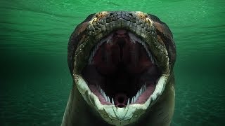 Titanoboa: Monster Snake (Full Episode)