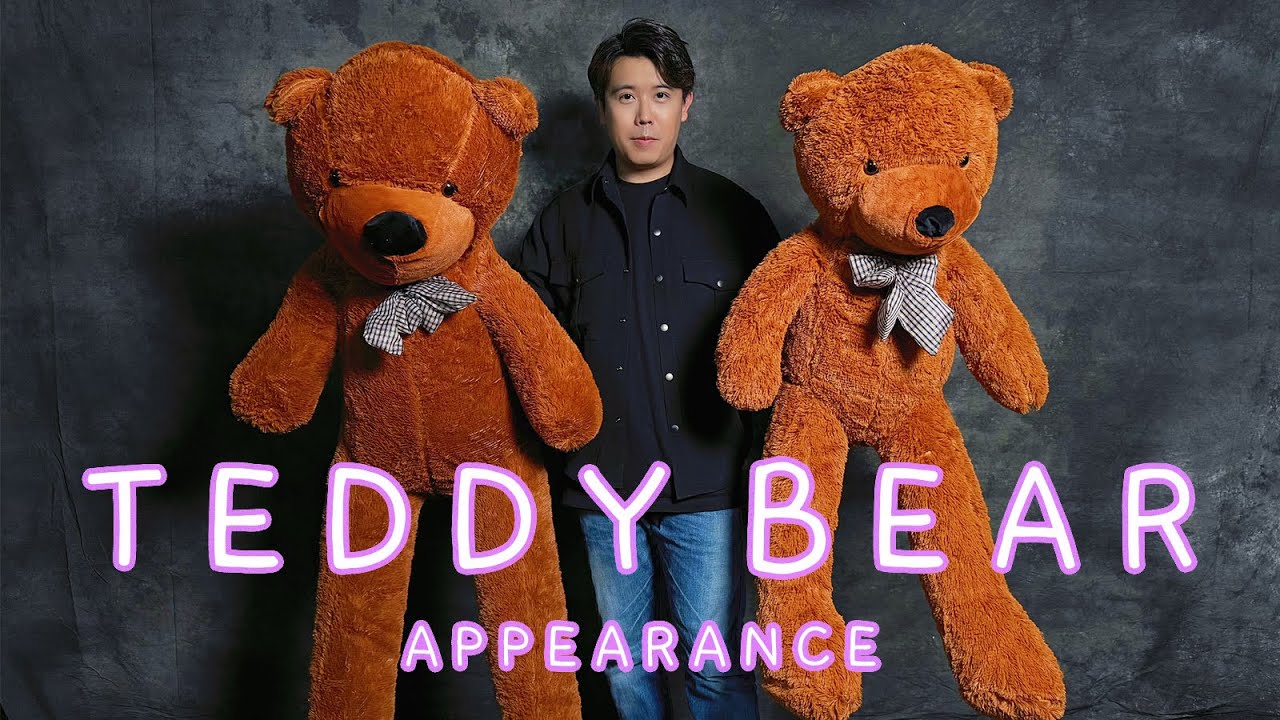 Teddy Bear Appearance