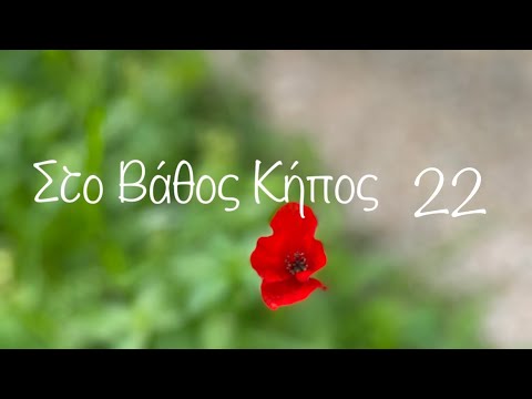 Πώς φεύγουν οι φοβίες; (Κήπος 22)