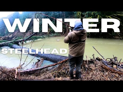 Incredible Day Chasing Winter Steelhead Washington State 2026