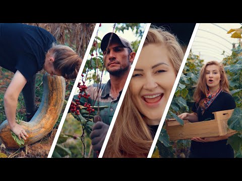 O agro é tudo - Bia Socek [CLIPE OFICIAL] 4K