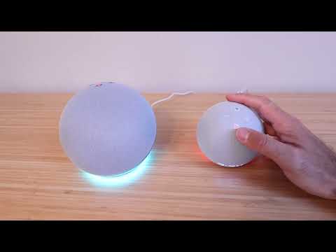 Amazon Echo Dot 5th Gen vs Amazon Echo