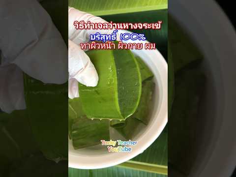 How to make 100% pure aloe vera gel for your own use