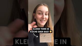 SILBERFISCHE IN DER WOHNUNG? 🆘 So erkennst su sie und wirst sie wieder los! 🤓