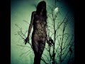 The Atlas Moth - An Ache For The Distance / Full ...