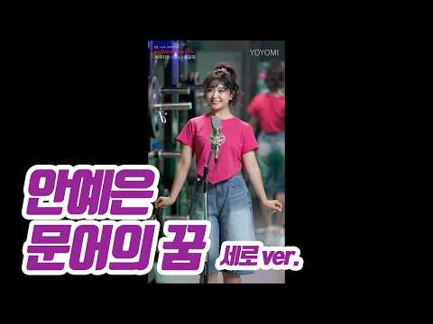요요미(YOYOMI) - 문어의꿈 (안예은) 세로 Cover by yoyomi