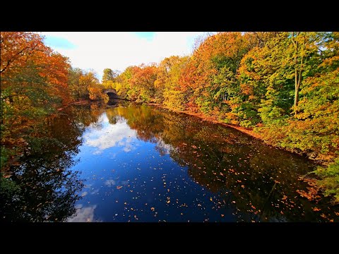 Relaxing Classical Music and Stunning Fall Scenery in Medford MA | 4K UHD