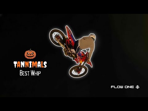 Massive Whips Under the Lights! | Tannimal’s Best Whip