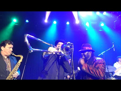 Roy Ellis & The Clerks - Skinheads Dem A Come (live Freedom Sounds Festival 2023)