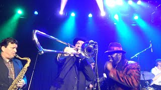 Download lagu Roy Ellis & The Clerks - Skinheads Dem A Come (live Freedom Sounds Festival 2023) mp3 Download lagu Roy Ellis & The Clerks - Skinheads Dem A Come (live Freedom Sounds Festival 2023) mp3