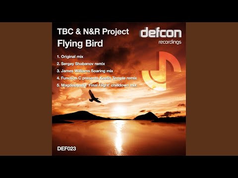 Flying Bird (Function C presents Keelin Temple Remix)