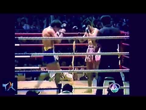 "The Elbow Hunter of a 100 Stitches" | Theme for Yodkhunpon Sittraipum | Highlights