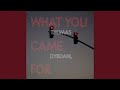 What You Came For