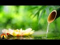 🔴 Relaxing Music 24/7, Stress Relief Music, Sleep Music, Meditation Music, Study, Calming Music