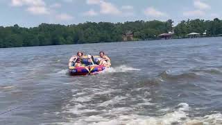 Video preview image #1 Mutt Puppy For Sale in Shreveport, LA, USA