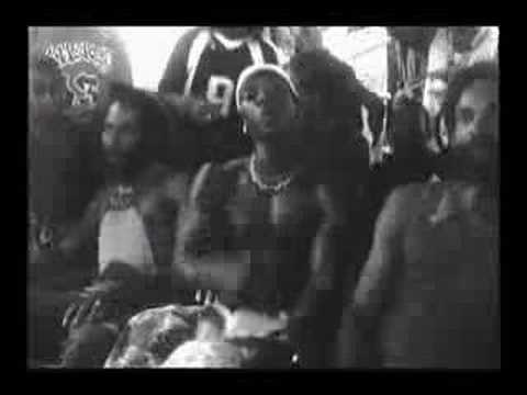 cli clavely ( kissa)