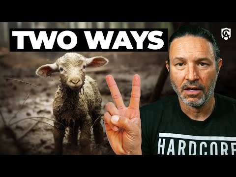 How to Bring Adult Children Back to the Faith? w/ @KeithNester