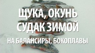 Ловля хищной рыбы на днепродзержинском водохранилище