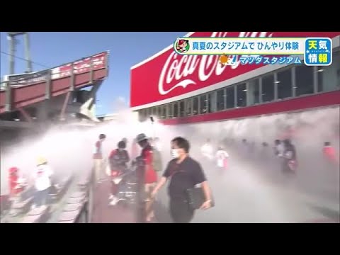 動画サムネイル