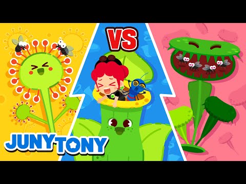 Competição de Plantas Carnívoras | Planta Come Insetos | Música Infantil | JunyTony em Português