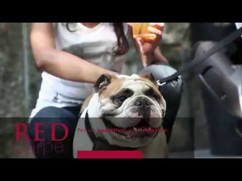 Quadro4 - der Lifestyle