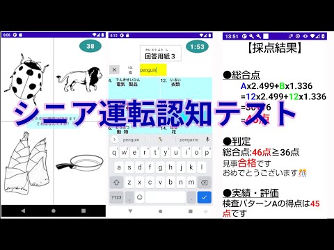 シニア運転認知テスト
