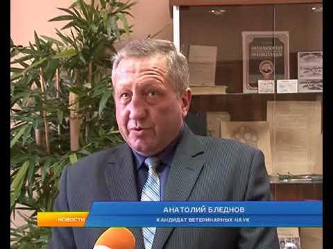 В Курской области растет популяция водоплавающих птиц