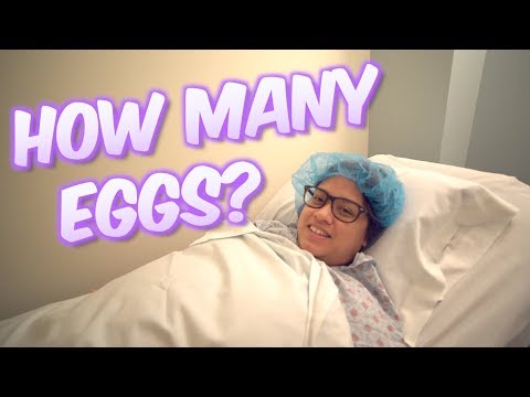 EGG RETRIEVAL DAY! HOW MANY EGGS? IVF JOURNEY ROUND 2
