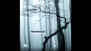 Trentemoller - While The Cold Winter Waiting