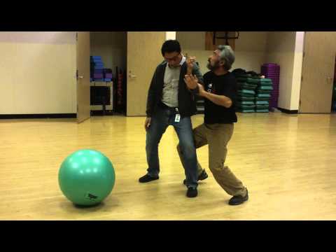 Tai Chi (Tai Ji) Wild Horse Shakes Its Mane 野马分鬃