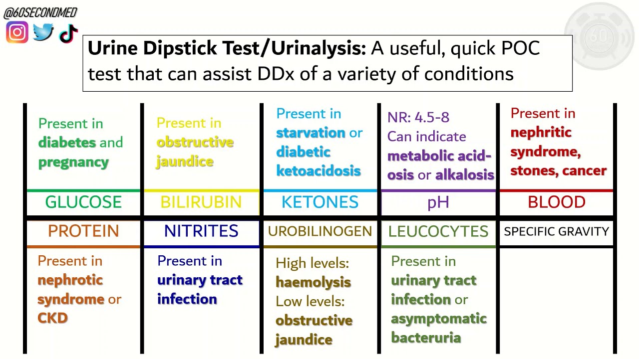 67 SECONDS on URINALYSIS/URINE DIPSTICK TESTING