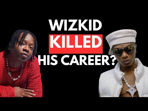 Why Wizkid’s Artist Terri Disappeared from Afrobeats | The Shocking Truth Revealed