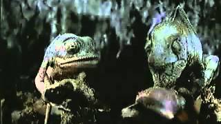 Budweiser   Frogs  amp; Lizards Electrocution attempt complete