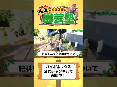 堆肥が良いかどうかはどうやってわかりますか？品質を保証する5つの分析方法  庭園