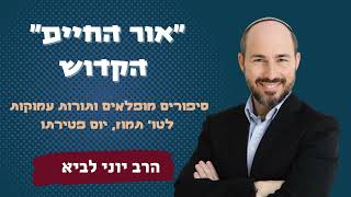 "אור החיים" הקדוש / הרב יוני לביא (הרב יוני לביא) - התמונה מוצגת ישירות מתוך אתר האינטרנט יוטיוב. זכויות היוצרים בתמונה שייכות ליוצרה. קישור קרדיט למקור התוכן נמצא בתוך דף הסרטון