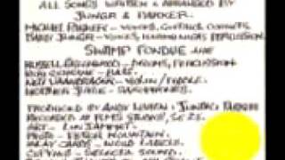 Jungr & Parker - That's What Started Me Thinking.avi