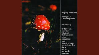 Von bittersüssem Suizid