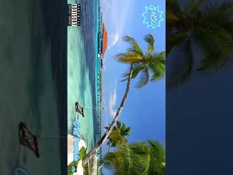 Lemso:c’est l’arrivée (audio officiel)