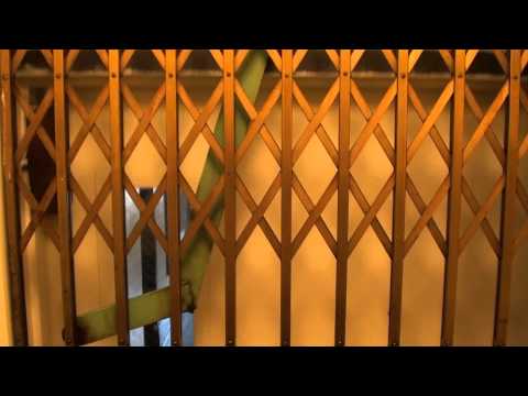 Awesome Rotary Piston Pump Hydraulic elevator @ Hill Building St.Louis MO