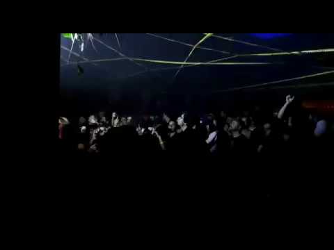 DANGER ZONE WITH YELLOW HEADS!!