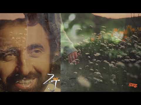 Video Placeholder
