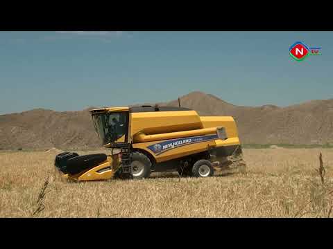 Günün tələbi - 14.09.2022