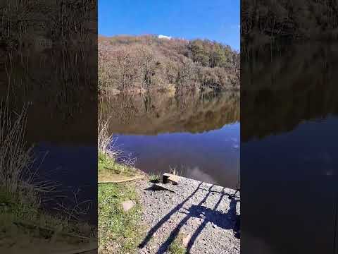 love a new venue #carpfishing #bigcarp #fishing #snagtackle