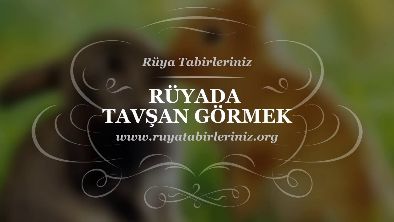 Rüyada Tavşan Görmek - Rüya Tabirleri, Rüya Yorumu